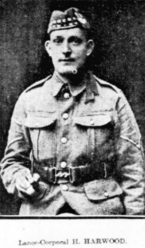 HARRY HARWOOD