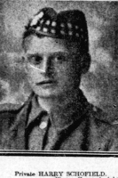 HARRY SCHOFIELD