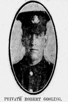 Robert GOSLING