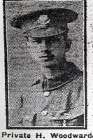HARRY WOODWARD