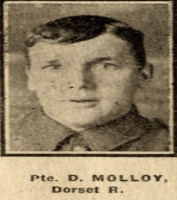 David MOLLOY