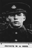 William Albert REES