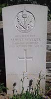 ALBERT JAMES THEOPHILUS WALKER