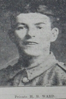 HAROLD BERTRAM WARD
